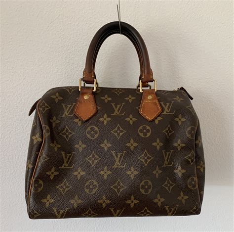 louis vuitton older purses.